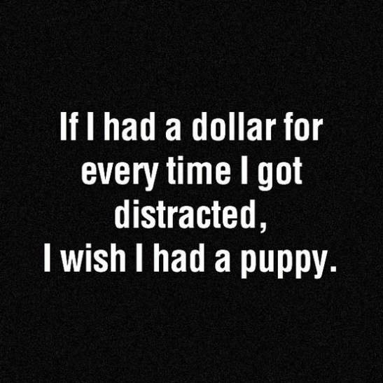 2525ede53cefe1f62d795b73e0475195