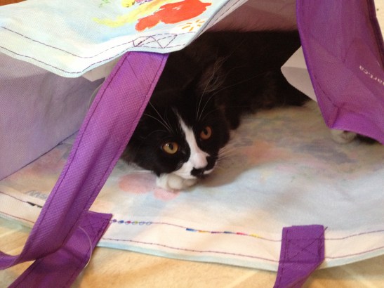 Hiding in the shopping