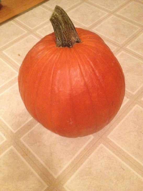 The Start of the Pumpkin