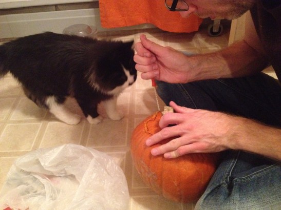 Louie comes to see what was going on