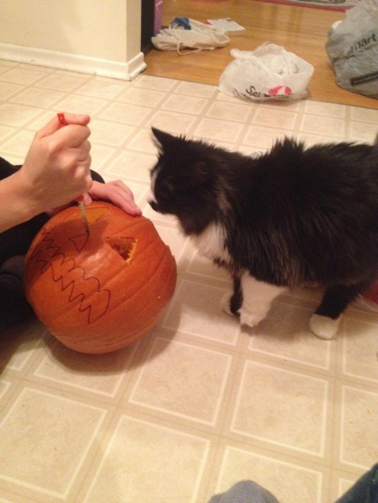 Louie's still curious