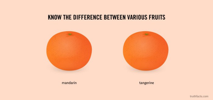 Know the difference between various fruits