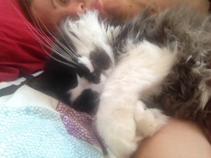 photo (13)