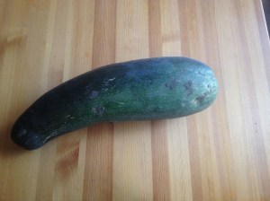 Large Zucchini