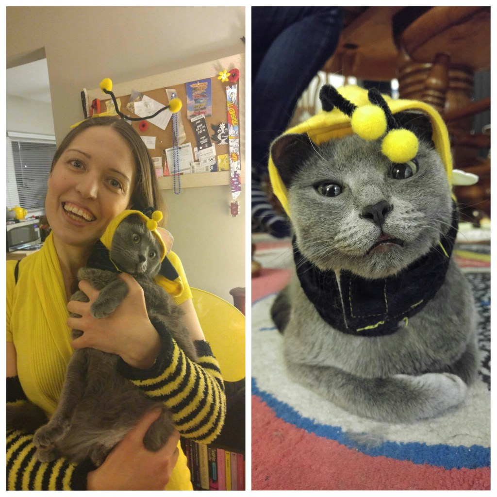 photogrid_1477794224383